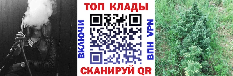 Наркошоп купить COCAIN СОЛЬ Меф Сясьстрой
