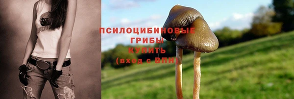 дмт Гусев