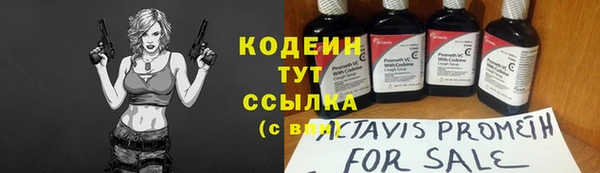 дмт Гусев