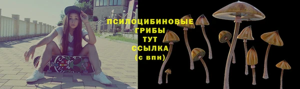 дурь Гусь-Хрустальный