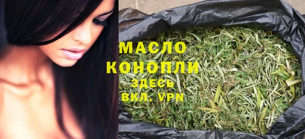 дмт Гусев