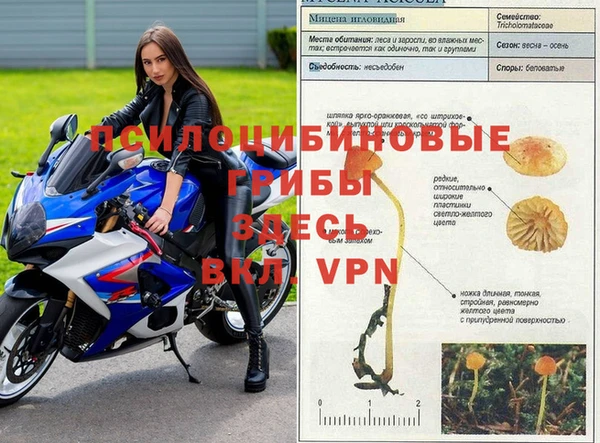 гашиш Дмитров