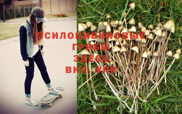 дмт Гусев