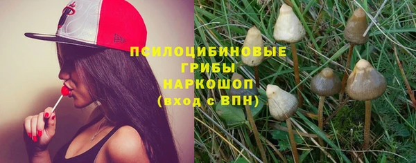 Альфа ПВП Гусиноозёрск