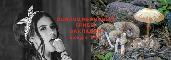 дмт Гусев