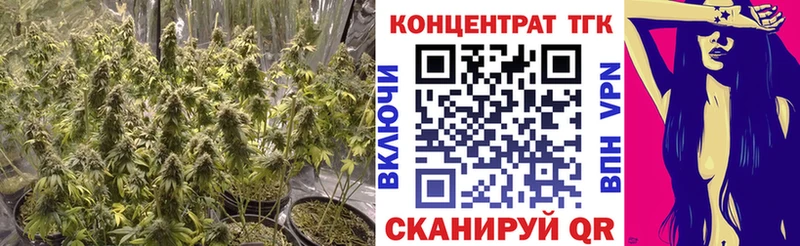 ТГК концентрат  Купить  Сясьстрой 